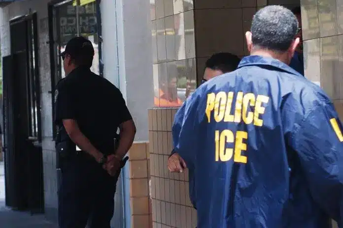 servicio de inmigracion y control de aduanas ice bae20f41 focus 0 0 696 464