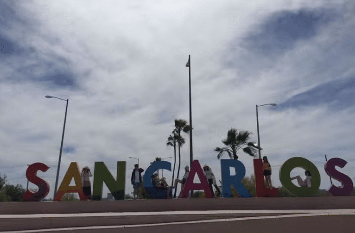 Choca contra árbol y huye conductor