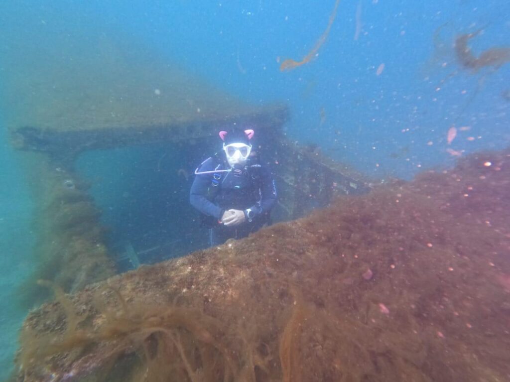 Logra Feliza Ríos cumplir retos en la creación del Sistema Arrecifal Artificial Sonorense 4 42