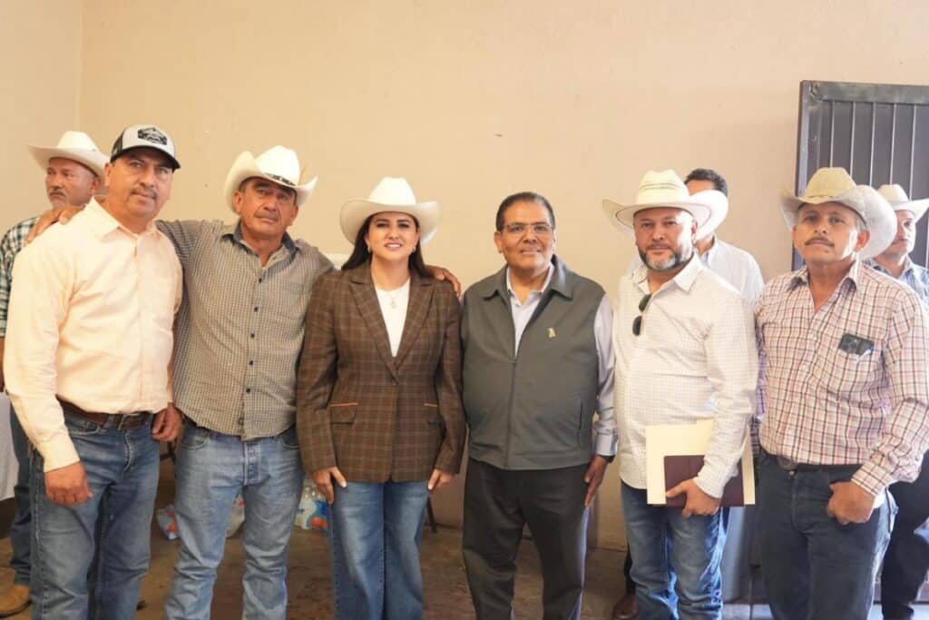 Gobierno de Sonora impulsa financiamiento para fortalecer la engorda de ganado en Sonora 3 468 1