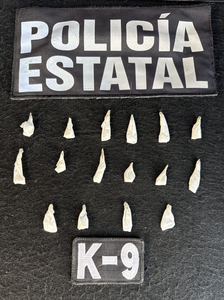 Olfato que protege: Binomio K-9 de la PESP obtiene resultado positivo en inspección preventiva 1 510