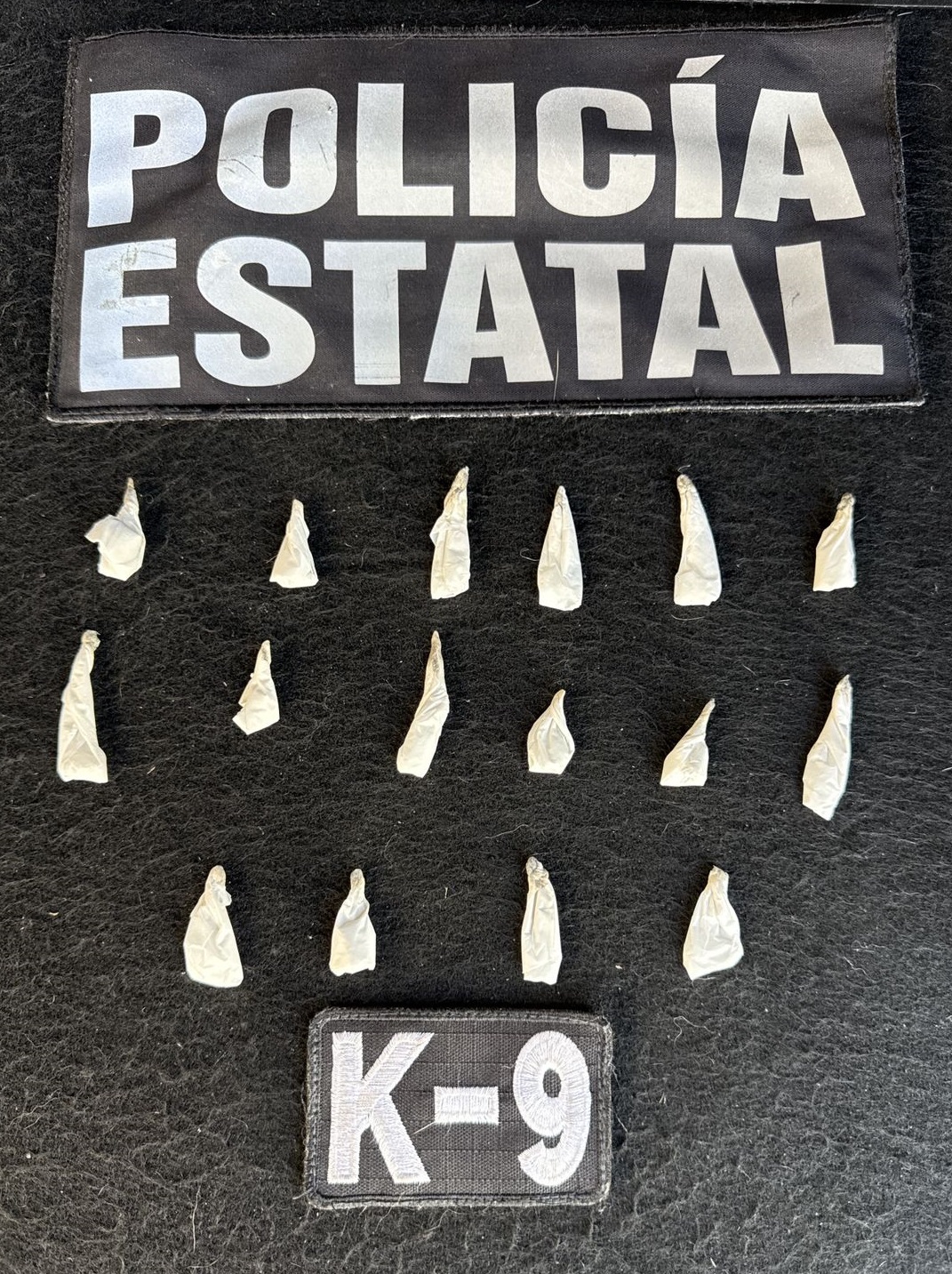 Olfato que protege: Binomio K-9 de la PESP obtiene resultado positivo en inspección preventiva