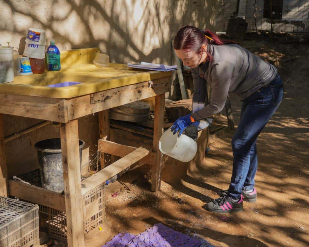 Llama Secretaría de Salud a limpiar patios para prevenir el dengue