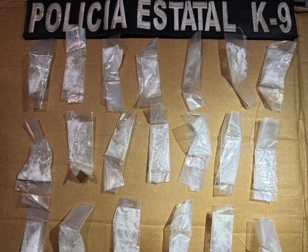 K-9 de la PESP consolida resultados en acciones de prevención y vigilancia 1 931