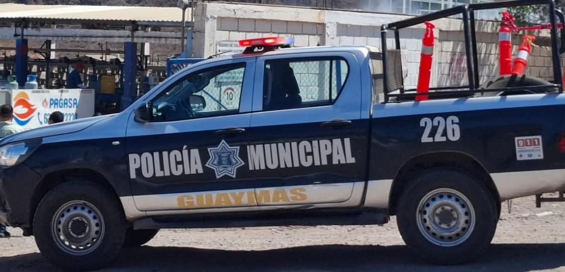 Tiene 20 perros y la denuncian por maltrato