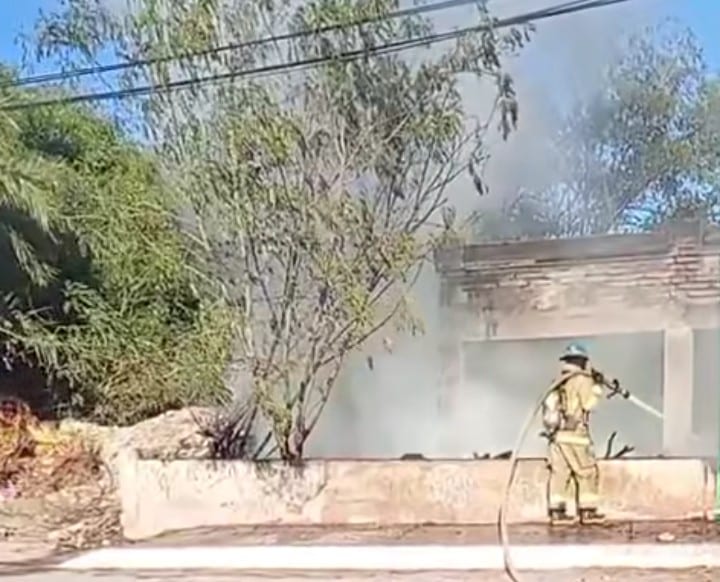 Screenshot 20260312 163229 1