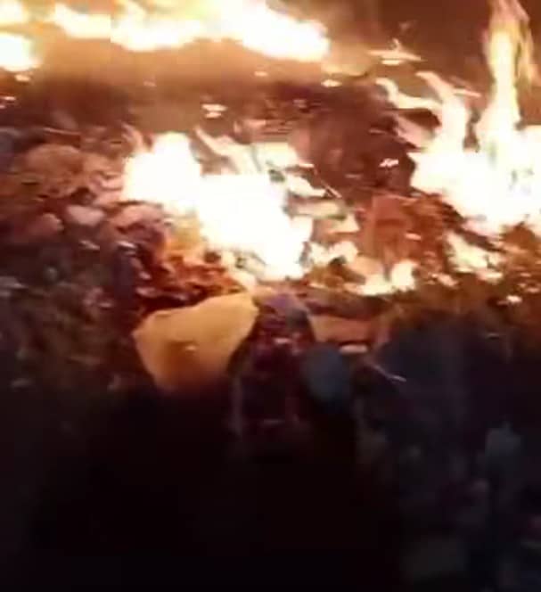 Screenshot 20260320 164217 2