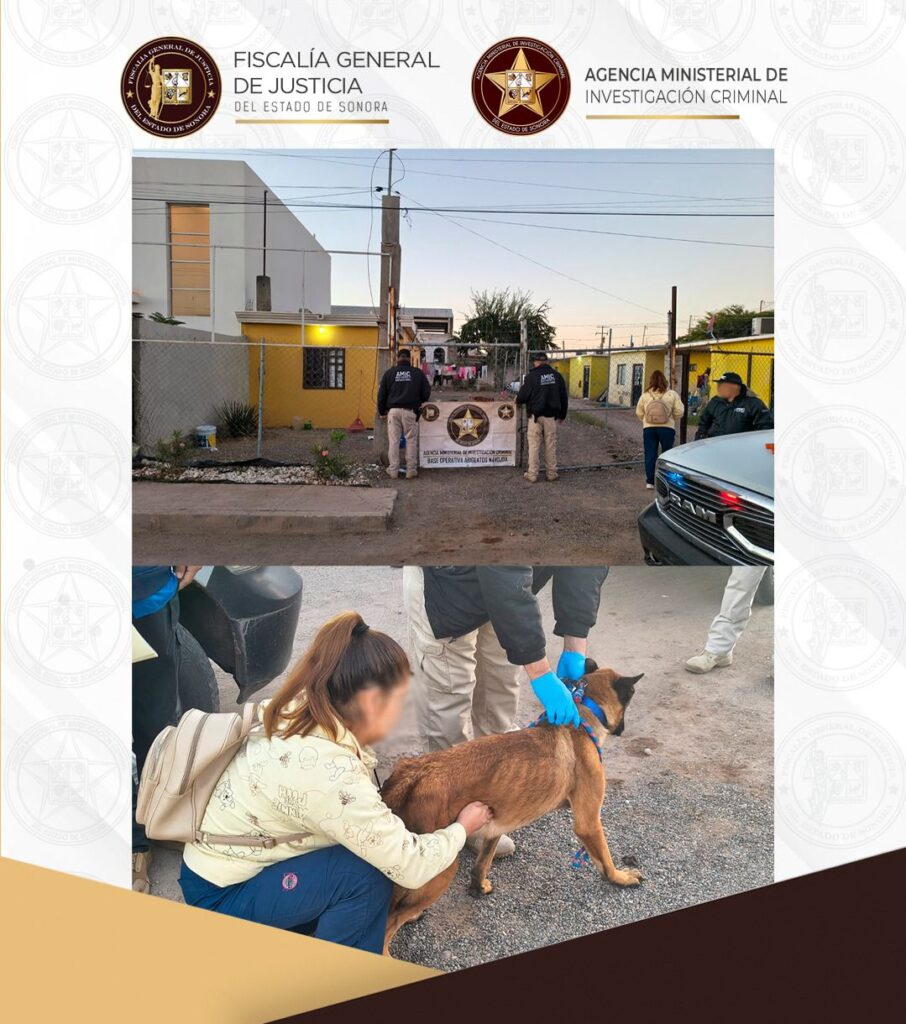 Cateo de AMIC por maltrato animal permite rescatar a canino en Navojoa 1 WhatsApp Image 2026 03 19 at 9.14.29 PM 2