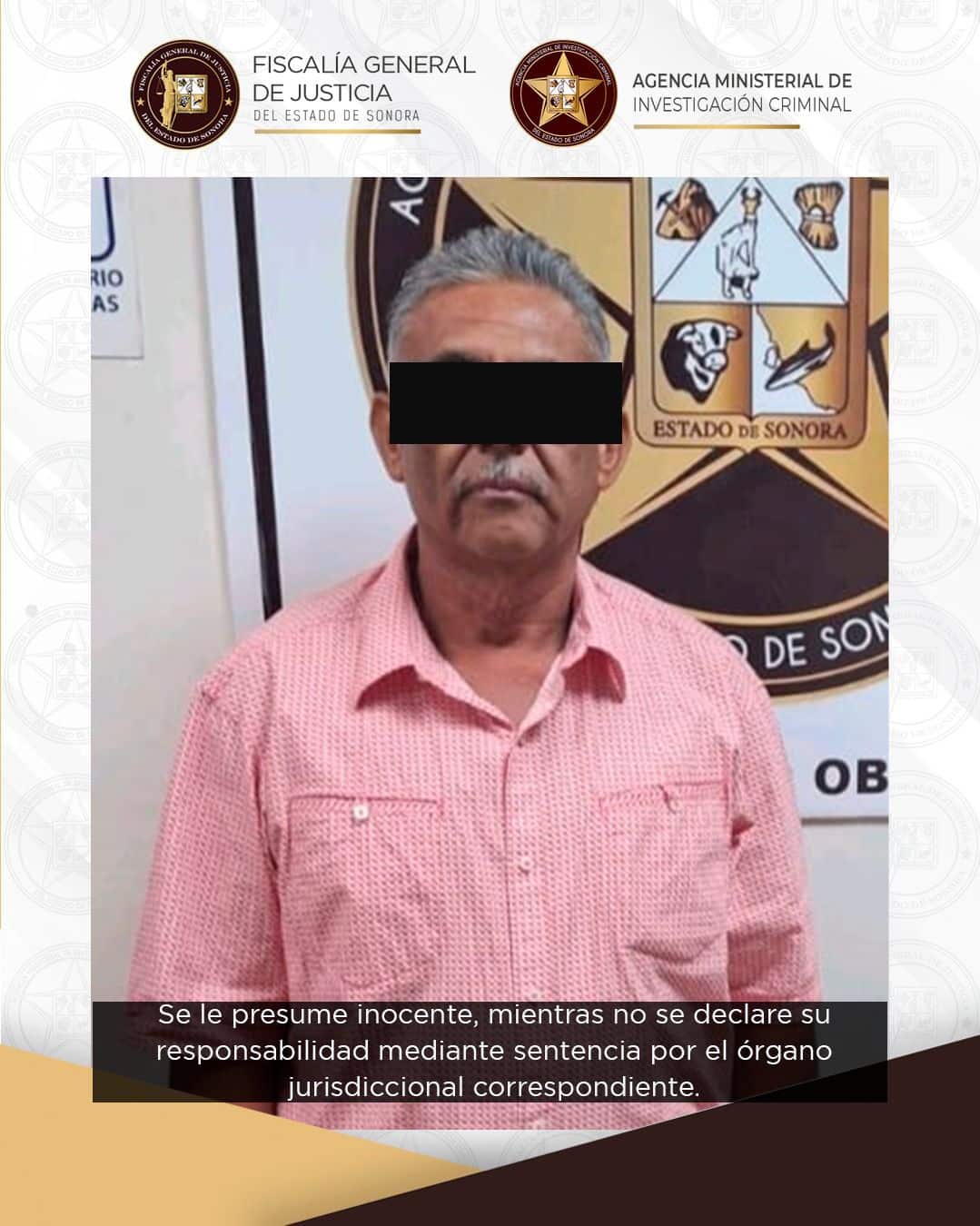 FGJES formula imputación a adulto mayor por violencia familiar en Cajeme