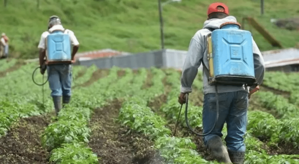 ONU urge a México a crear leyes sobre químicos y plaguicidas peligrosos 1 image 1218