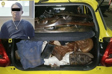 Detienen a hombre tras robo a casa en la Roma; recuperan arte valuado en medio millón 2 image 1220