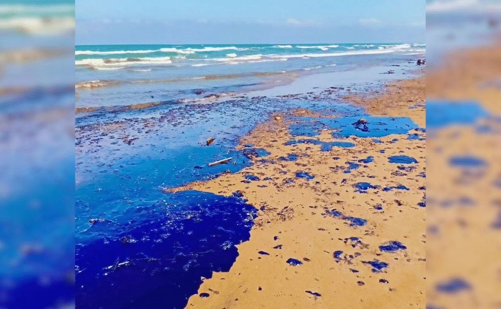 Comunidades califican de “etnocidio” derrame de combustible en costas de Veracruz 1 image 160