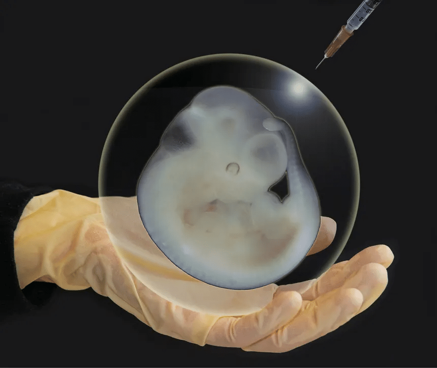 Límites y alcances de la clonación sucesiva en la investigación biológica contemporánea 1 image 1636