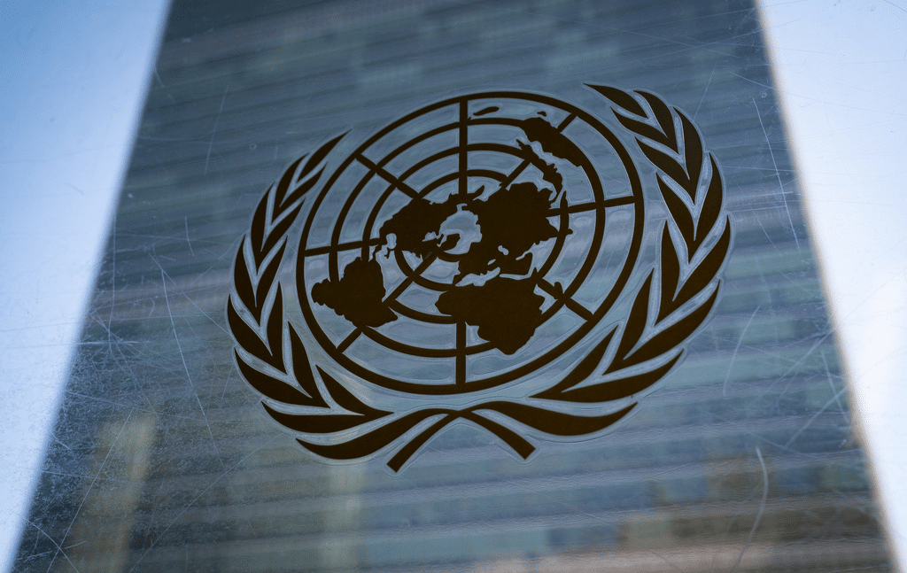 México condena en la ONU daños a derechos humanos 1 image 1656