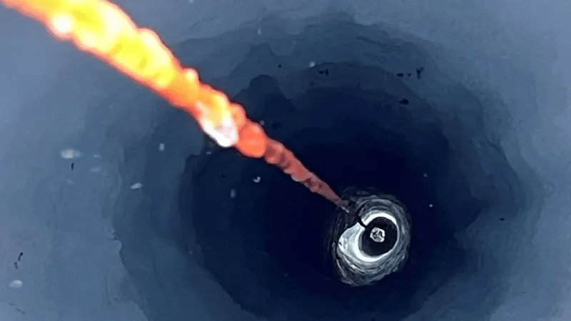 Descubren un antiguo ecosistema oculto bajo el hielo de la Antártida 1 image 1789