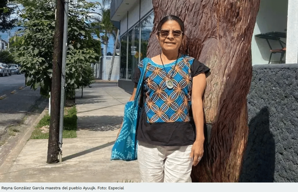 Detienen a mujer por feminicidio de maestra indígena en Oaxaca 1 image 1793