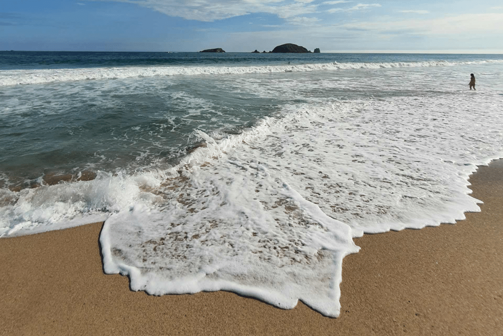 Semana Santa 2026: estas son las playas aptas para vacacionar en México 1 image 1937