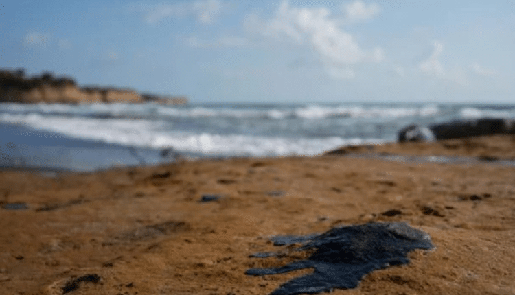 Sin daños en Sistema Arrecifal Veracruzano tras derrame de hidrocarburo: Bárcena 1 image 1938