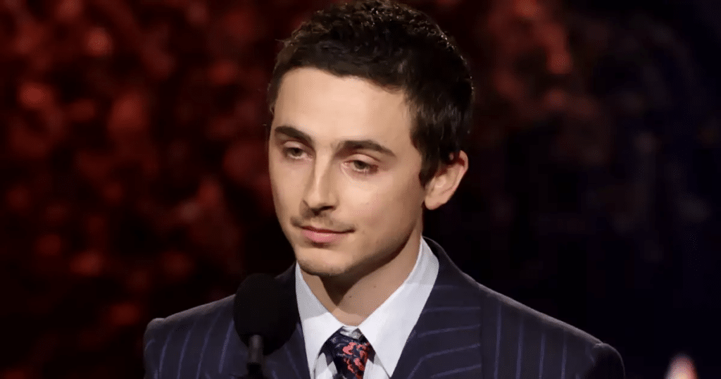 Timothée Chalamet recibe duras respuestas del arte 1 Timothée Chalamet