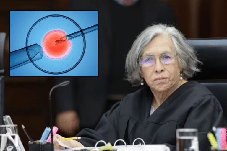 Diputada de MC propone proteger a nacidos por reproducción asistida 2 image 914