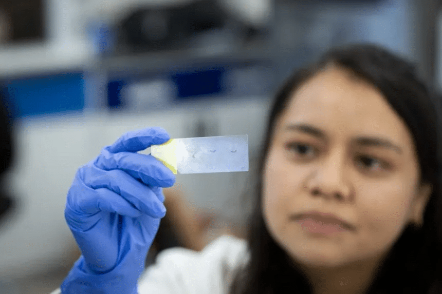 Estudio científico destaca las propiedades del garambullo en la prevención y retraso del cáncer de colon 1 image 969