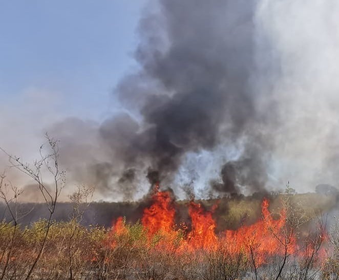 Se incendia predio en el sector Oriente