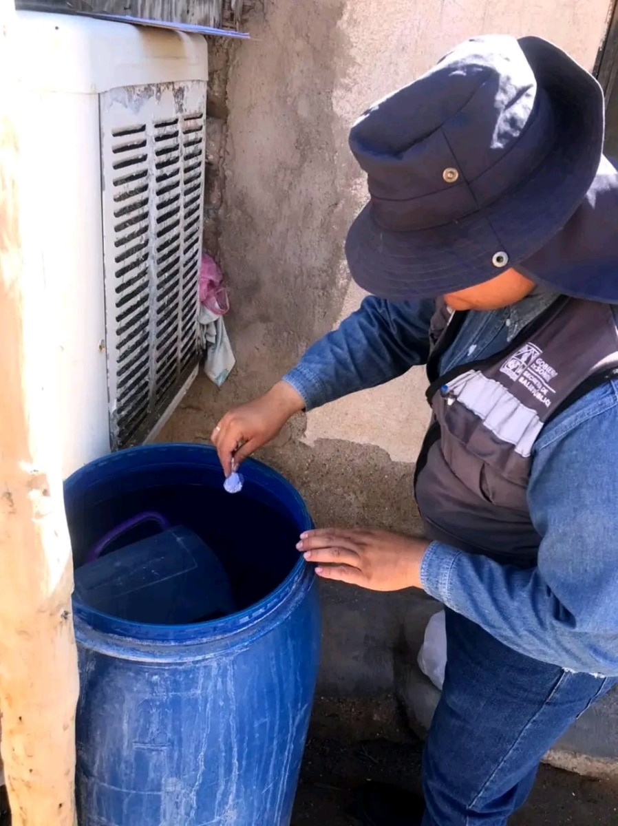 Refuerza Salud Sonora acciones de control del dengue