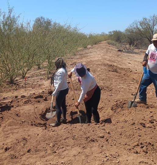 Suman 39 osamentas localizadas en el valle de Guaymas
