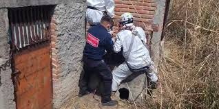 Sheinbaum ordena revisar intimidación del narco a trabajadores en mina de Zacatecas