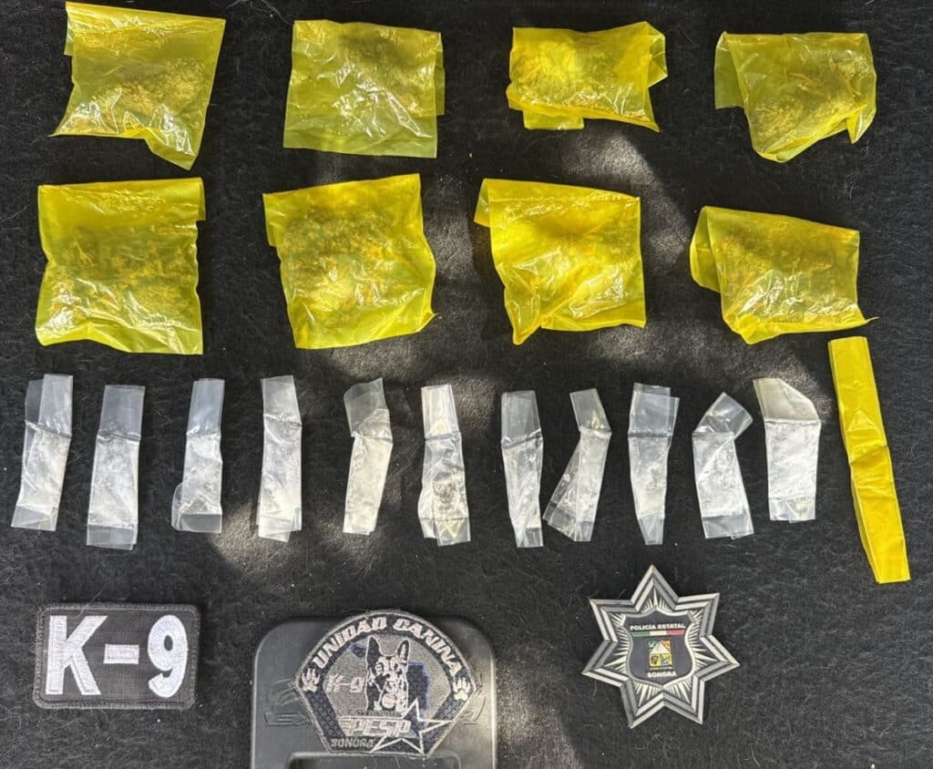 Acciones firmes de la Unidad K-9 de la PESP se traducen en seguridad para Sonora 2 716 1