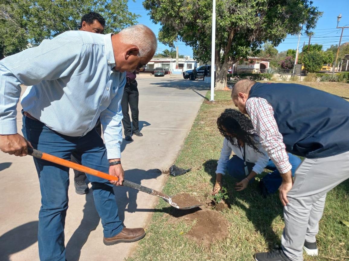 Mantienen programa de reforestación en Empalme