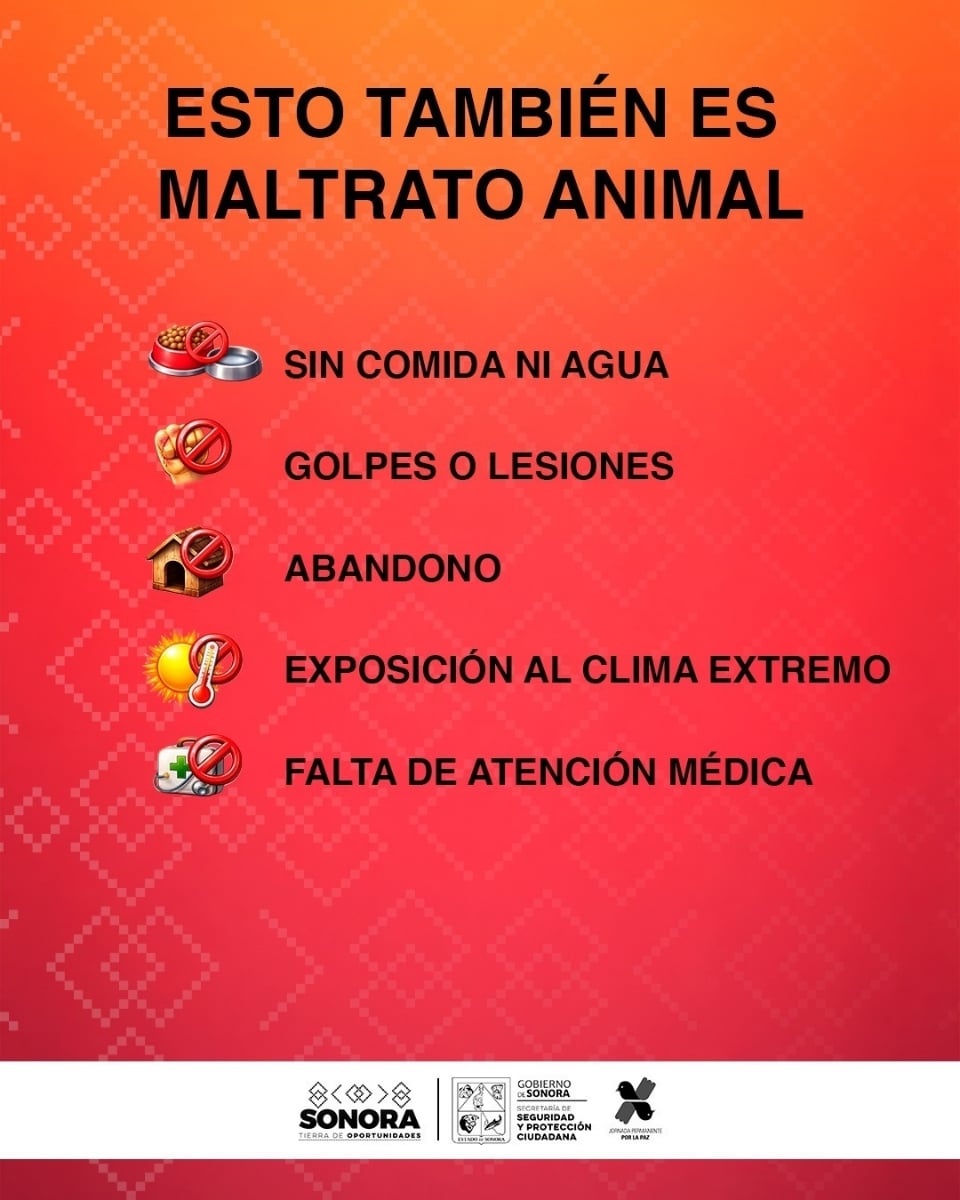 Fomenta SSPC prevención del maltrato animal desde la niñez