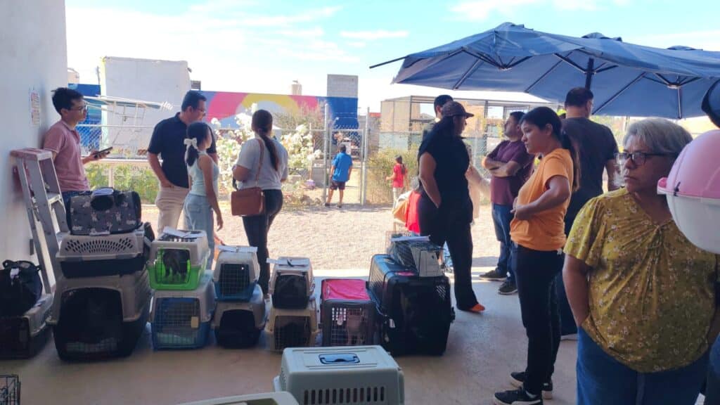 Esterilizan 300 perros 1 IMG 20260412 WA0031