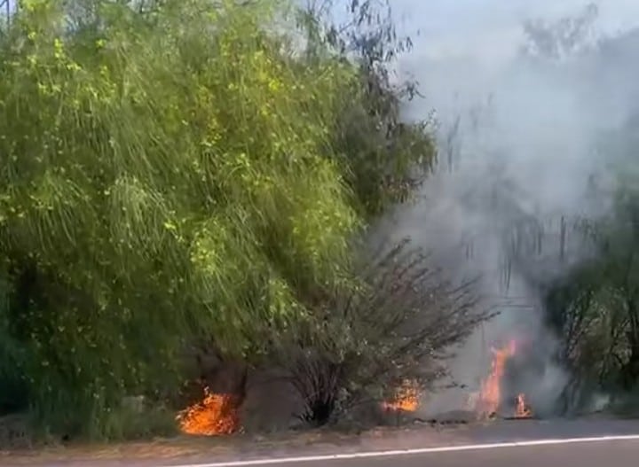 Se incendia predio de antiguo parque