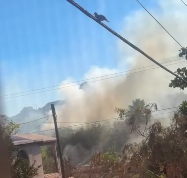 Screenshot 20260420 170350 1