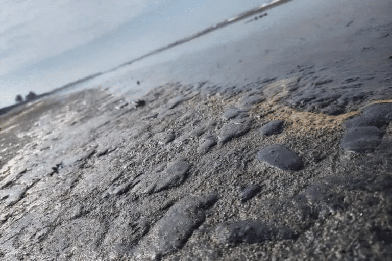 Derrame petrolero en el Golfo de México y la verdad que permanece oculta 1 image 181