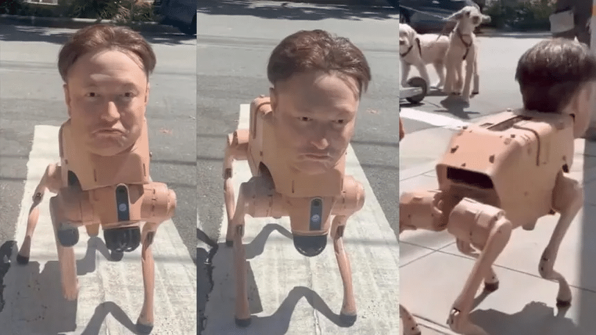 Robot canino con el rostro de Elon Musk sorprende en San Francisco