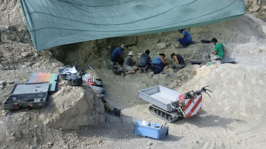 Hallazgo de una nueva especie de dinosaurio en el Pirineo 1 image 519