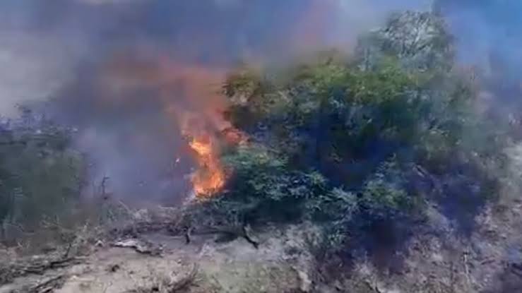 images 2026 04 26T171814.638