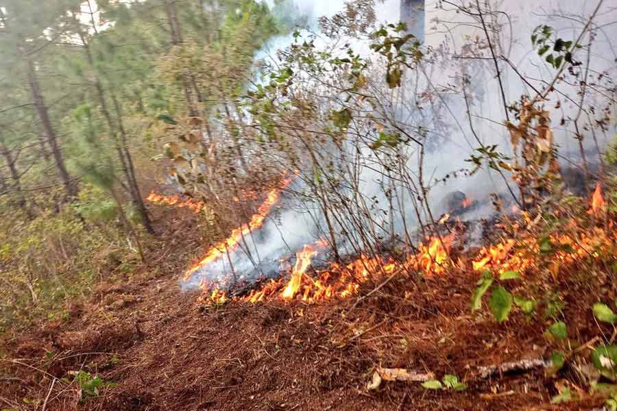 incendio forestal Montanona Chalatenango 06