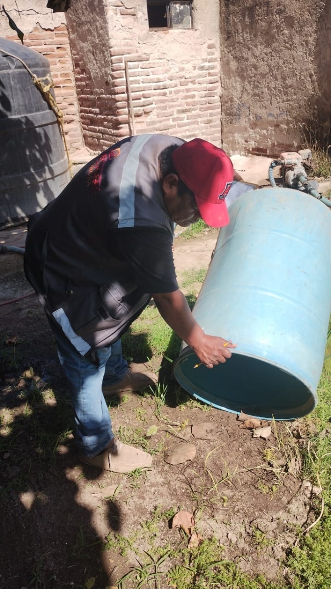 Refuerza Salud Sonora acciones contra el dengue tras lluvias en el estado