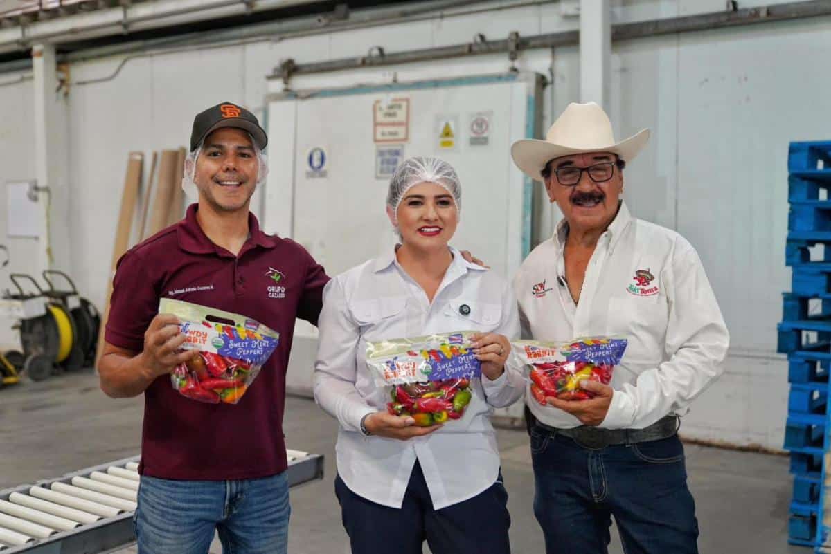 Destaca Gobierno de Sonora el impacto de la hortaliza y el trabajo de las mujeres en el campo