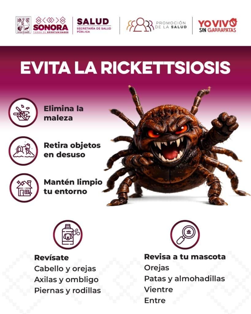Exhorta Salud Sonora a reforzar limpieza en temporada de calor para prevenir rickettsia 3 188