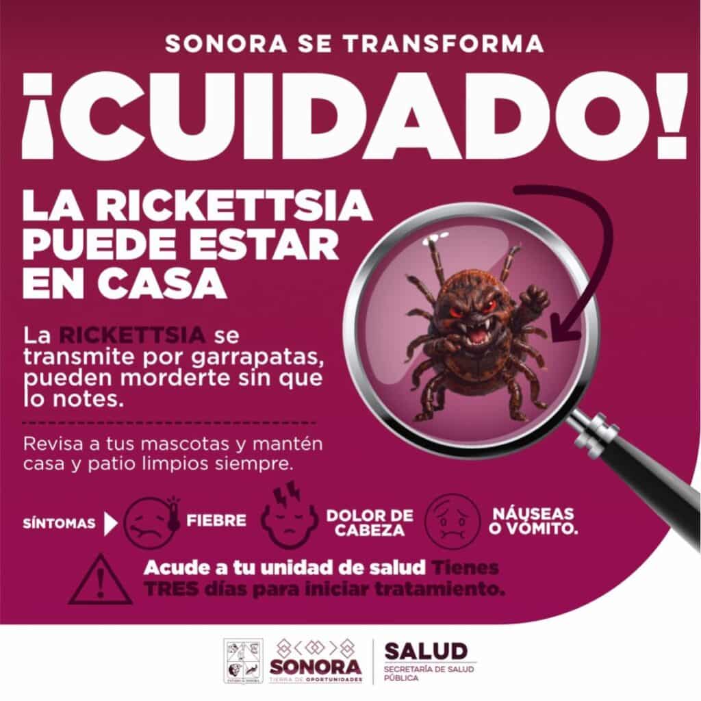 Exhorta Salud Sonora a reforzar limpieza en temporada de calor para prevenir rickettsia 2 189