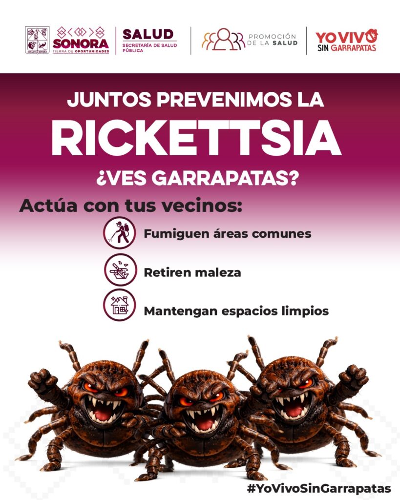 Exhorta Salud Sonora a reforzar limpieza en temporada de calor para prevenir rickettsia 1 190