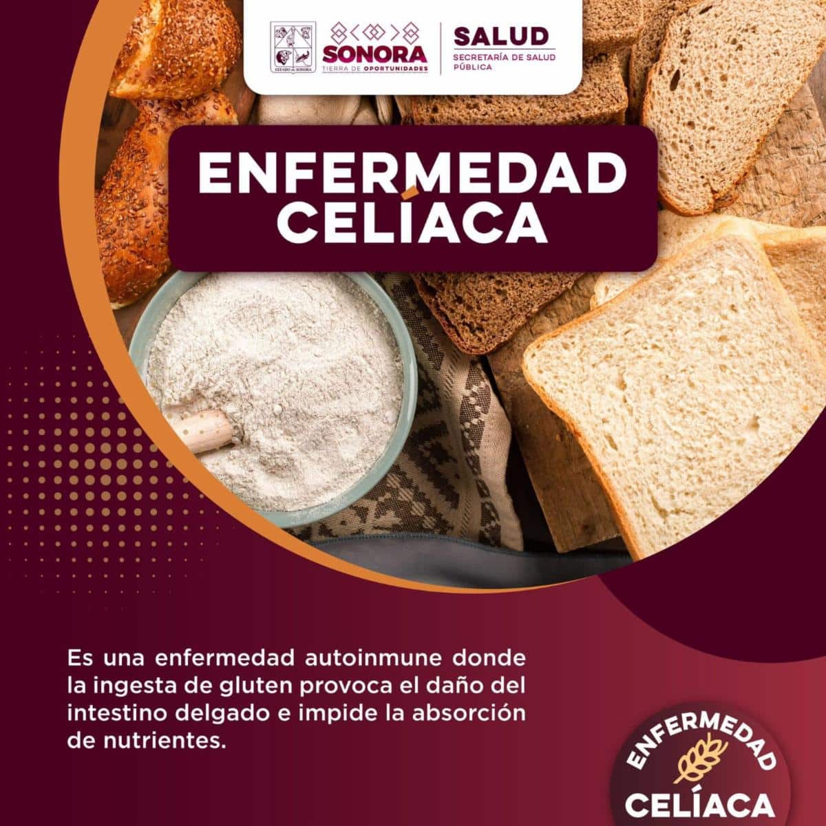 Exhorta Salud Sonora a concientizar sobre la enfermedad celíaca