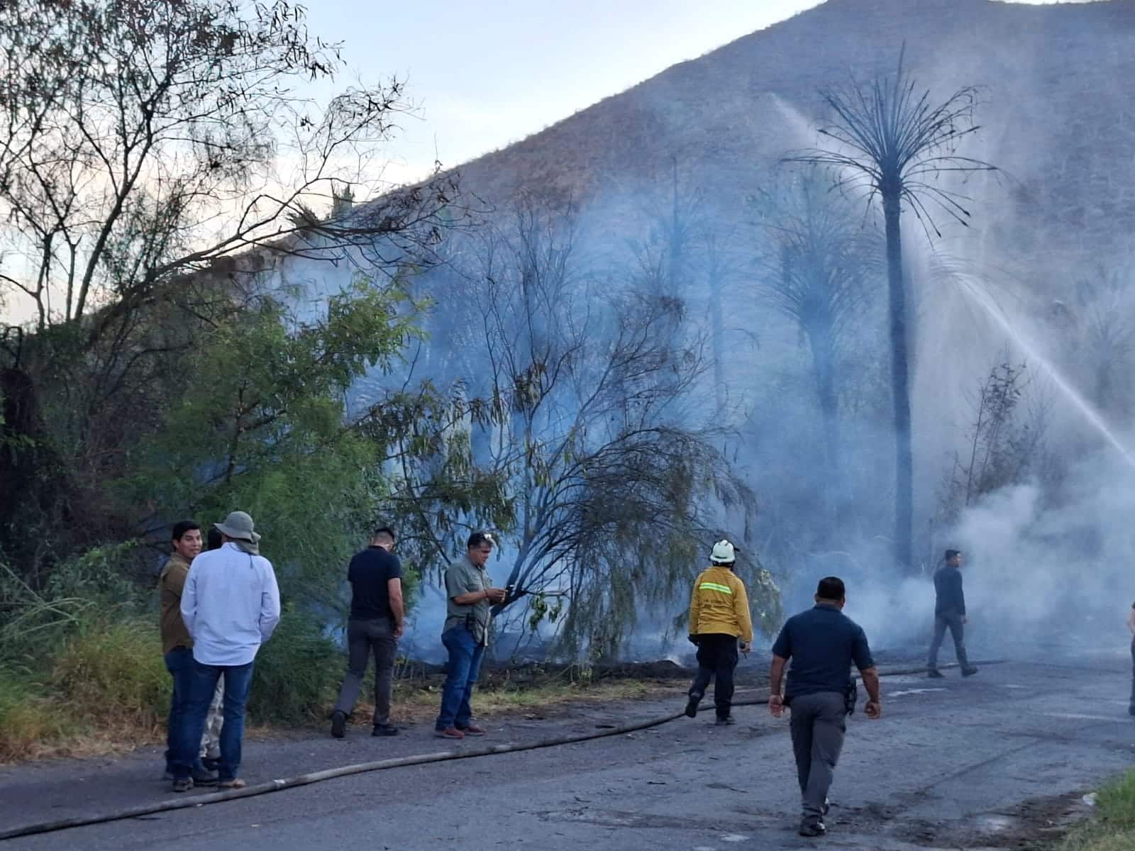 Provocan incendios forestales en Miramar y el Tular