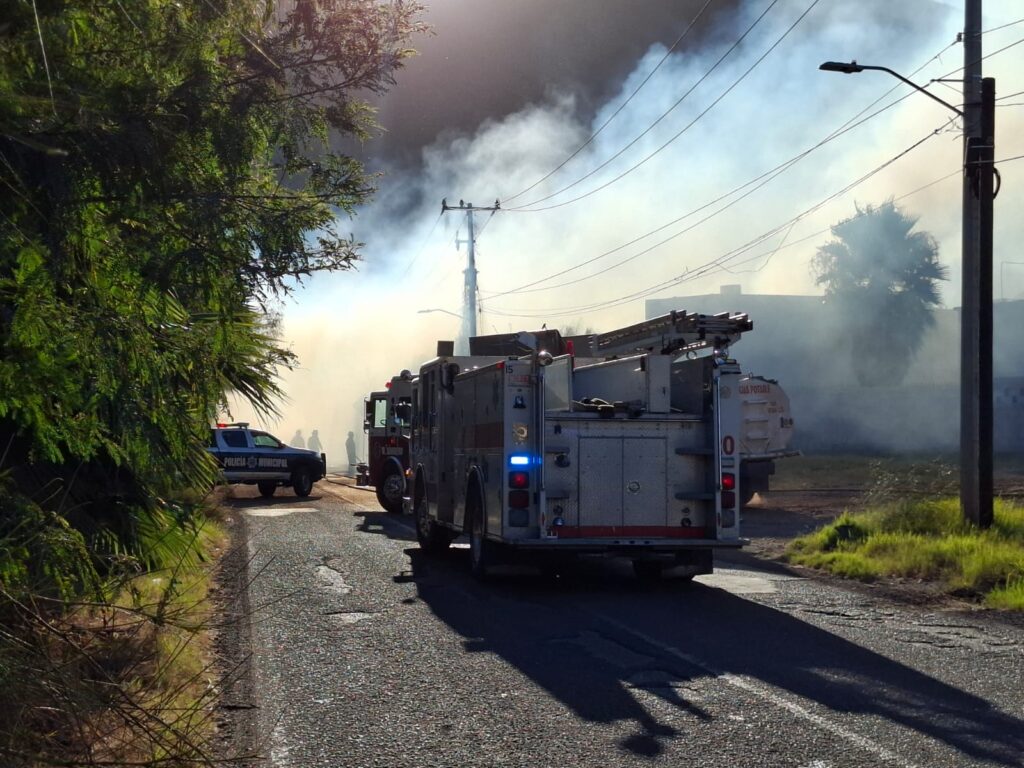 Provocan incendios forestales en Miramar y el Tular 2 232