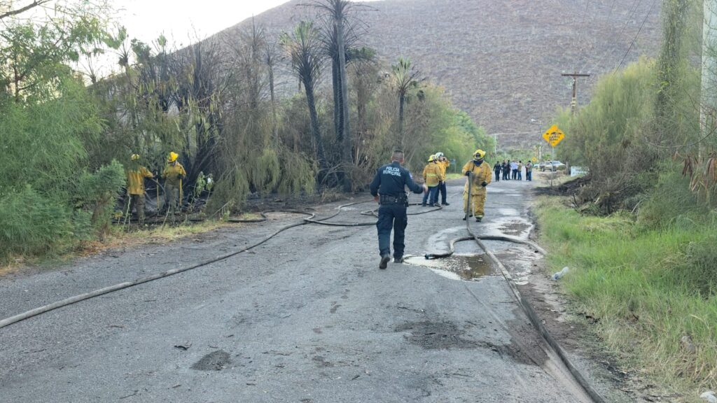 Provocan incendios forestales en Miramar y el Tular 3 233