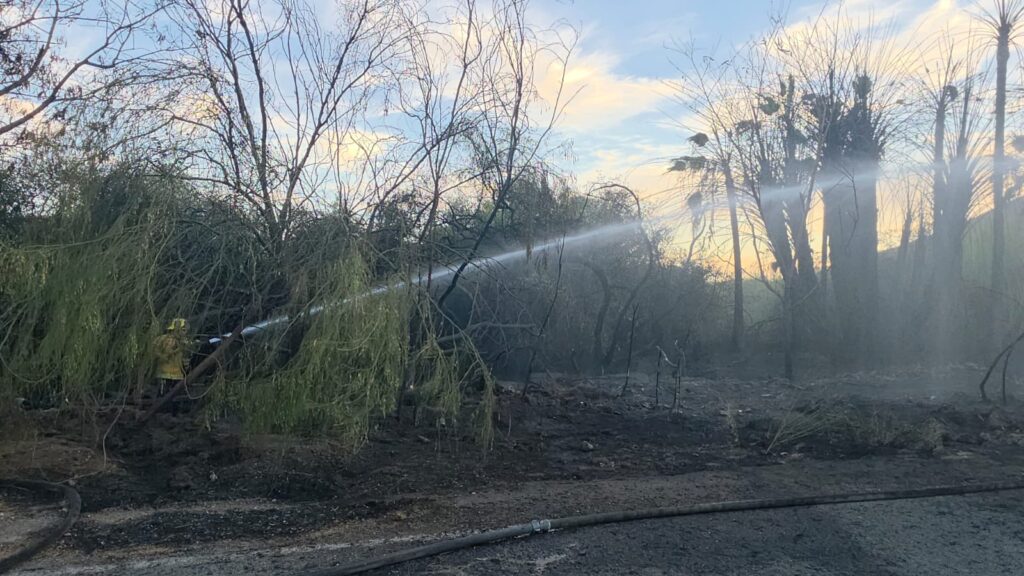 Provocan incendios forestales en Miramar y el Tular 4 235
